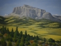 Distant Fields